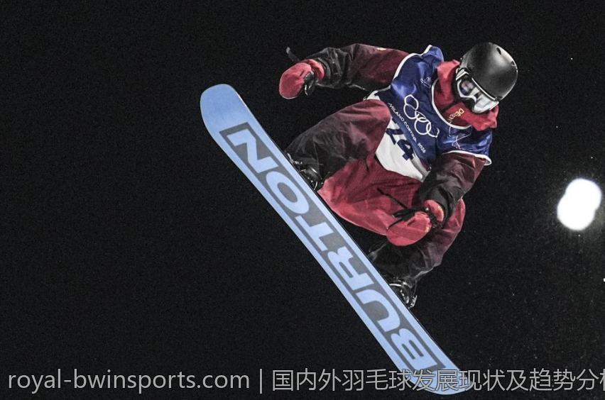 国内外羽毛球发展现状及趋势分析