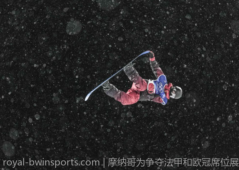 摩纳哥为争夺法甲和欧冠席位展开激烈争夺